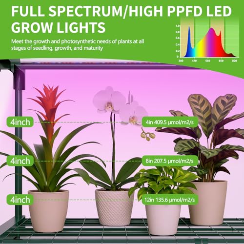 SUNYRISY 4 Tier Indoor Greenhouse with Grow Lights