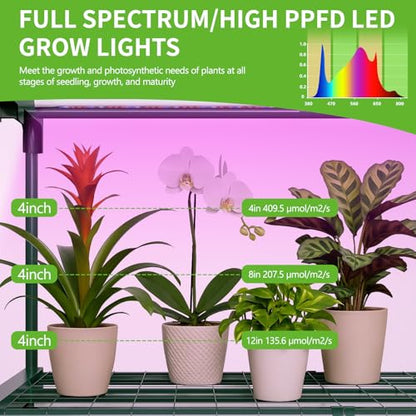 SUNYRISY 4 Tier Indoor Greenhouse with Grow Lights