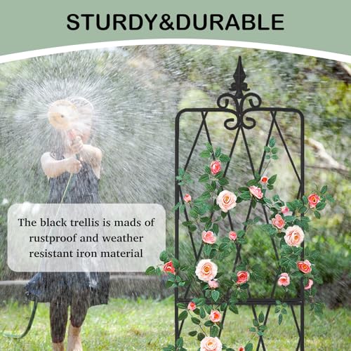 62"x15" Metal Garden Trellis, Black, Durable Powder-Coated, 2 Pack