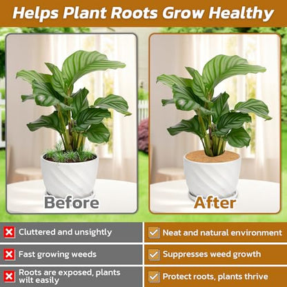 Legigo 10 Pack Coconut Fiber Mulch Ring Tree Plant Protector Mat, 11.8 Inch - color: 10 Pack, size: 11.8 Inch