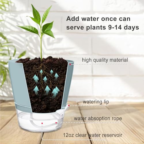 Hayder Plant Pots 6 inch Set of 6, Self Watering Flower Pots - color: Mixed Color