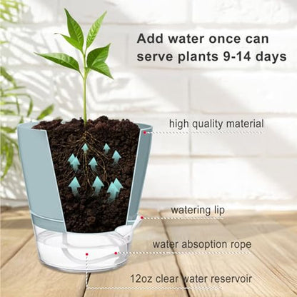 Hayder Plant Pots 6 inch Set of 6, Self Watering Flower Pots - color: Mixed Color