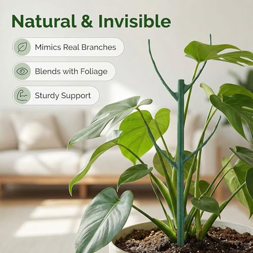 10 Pack Stackable Monstera Plant Support Stakes for Indoor & Outdoor Plants,Plant Support Structures for Climbing and Potted Plants,Plant Sticks for Vine Training & Stem Stabilization