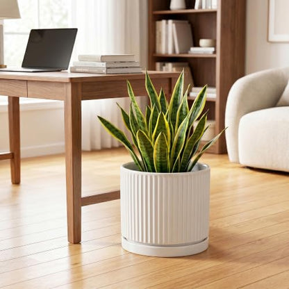 10 Inch Plant Pot, Ceramic Planters, Round Flower Pots, White - color: White, size: 10 Inch