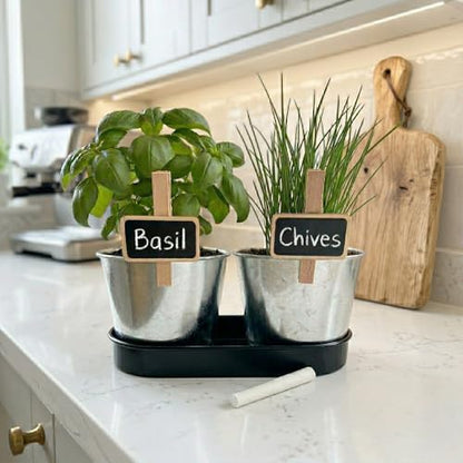Buzzy Seeds Kitchen Herb Kit 2-Pot with Tray, Metal Planters, Basil Chives