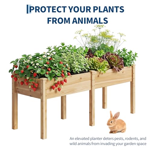 Wood Raised Garden Bed with Legs, 72x26x30in Elevated Wooden Planter Box