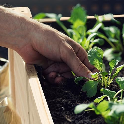 BlueWish 49x25x30in Raised Garden Bed with Extra Deep 16" Depth - color: Natural, size: 2 x 4 FT(16" Depth)