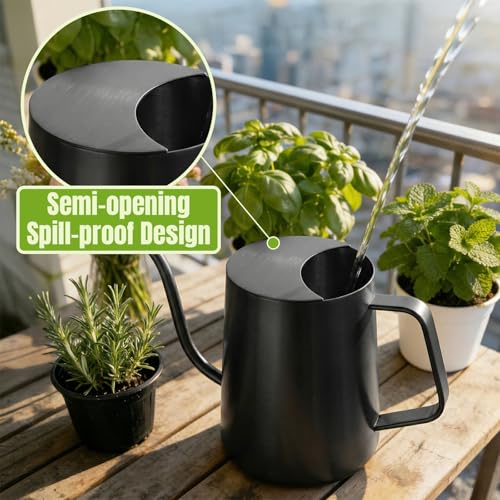 Watering Can Indoor Plants, 34oz Stainless Steel Long Spout, Black - color: Black