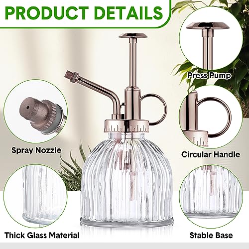 Maxdot 12Pcs Glass Plant Mister Spray Bottle 220ml, Mixed Sprayer - color: Mixed Sprayer