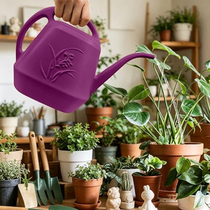 Plastic Watering Can - 1/2 Gallon - Rose Red - color: Rose Red