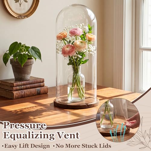 22'' × 8.66'' Glass Dome Cloche Display with Wood Base, Clear Display Jar - size: 8.66''×22''