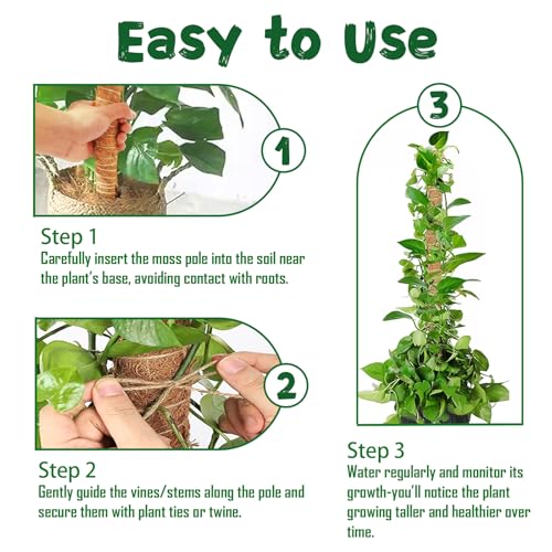 2 Pack 27.56-Inch Bendable Moss Poles for Monstera and Climbing Plants - size: 2 Pack - 70cm
