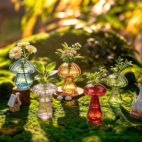 Mushroom Glass Propagation Station for Plants: Set of 5