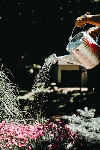 Behrens 2 Gallon Hot Dipped Steel Watering Can - size: 2 Gallon