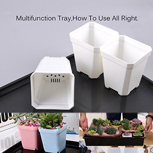 eZAKKA 14.6" x 11.8" Seed Starter Tray Kit with Dome, 20 Cells, White - color: White Pots