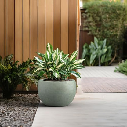 Kante Accent Round Bowl Mint Green Concrete Planter 15.7" Dia, Outdoor - color: Mint Green, size: 15.7" d