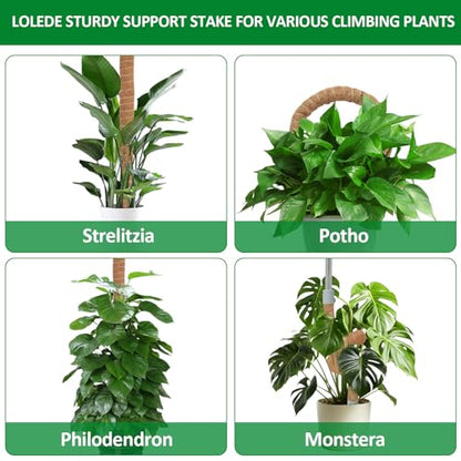 2 Pack Moss Pole, 55 Inches Tall Bendable Coco Coir Poles Monstera Plant Support for Climbing Indoor Plants, DIY Plant Stakes Kit Support for Pothos, Philodendron,Potted Plants - size: 55 Inches(2 Pack)