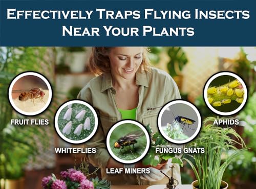 MaxGuard (20 Pack) Yellow Sticky Hanging Traps - Catch and Kill Fungus Gnats, Whiteflies, Mosquitos, Aphids, Leaf Miners, Flying Insect Catcher Glue Trappers for Indoor or Outdoor