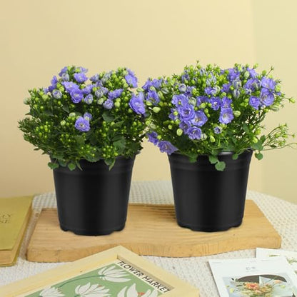 100 Pack 0.5 Gallon Plastic Plant Nursery Pots - size: 0.5Gallon(100pack)