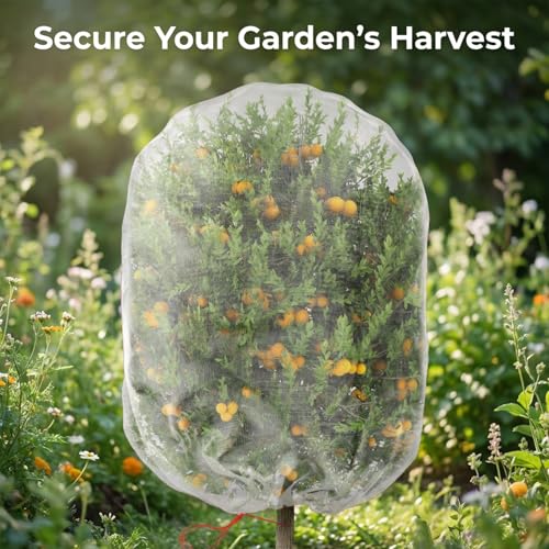 Sukh Bird Netting for Garden Protection - Blueberry Bush Netting