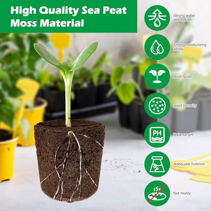 50 Pcs Square Hydroponics Pods, Seed Starter Sponge Pods for Seed Starter Plugs Grow Sponges for Indoor Outdoor Gardening