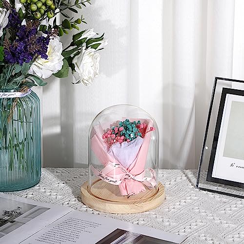 JUXYES 4.5x6 Inch Clear Glass Display Dome Cloche with Maple Wood Base