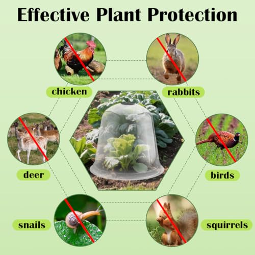 13 Inch Humidity Domes Garden Cloches for Plant Protection, Plant Covers Freeze Protection, Protectors from Animals, Garden Clear Plant Cover with Ventilation Holes 10 Pack - size: 13" D × 12" H 10P