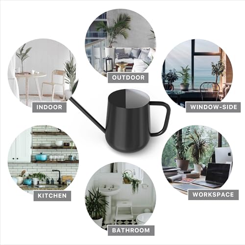 Metal Indoor Plant Watering Can with Long Spout 1000ml - Black - color: Dashing Black