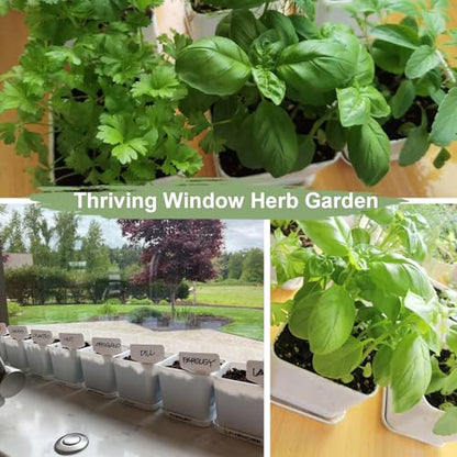 Indoor Herb Garden Kit – 10 Non-GMO Herb Seeds with Soil, Pots & Moisture Meter – Easy Windowsill Gardening Starter Set – Unique Gift for Gardeners, Home Chefs & Families