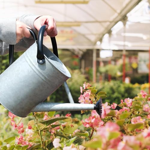 Metal Watering Can 1 Gallon for Indoor and Outdoor Plants Silver Black - color: One Gallon Silver Black