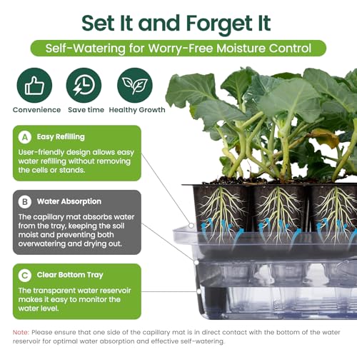 SOLIGT Self Watering Seed Starter Trays with Humidity Domes 6 Pack 144 Cell