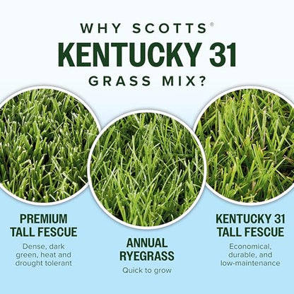 Scotts Kentucky 31 Grass Seed Mix, 40 lbs. - size: 40 lb