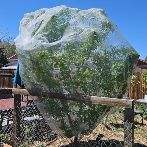 2 Pack 13x13 FT Fruit Tree Net Bags, Zipper Bird Net Cover for Apple Trees - size: 13x13ft(2Packs)