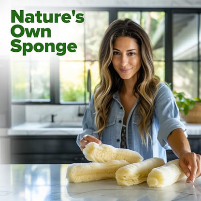 HOME GROWN Luffa Loofah Gourd Seeds, 80+ Seeds, Luffa aegyptiaca