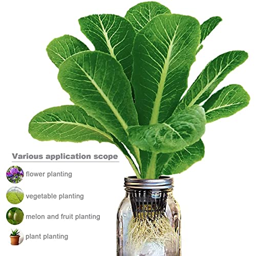 50PCS 1.75" Mesh Net Cup Pots Basket Hydroponics System Supplies Aquaponics Seed Growing Media Black - color: Black