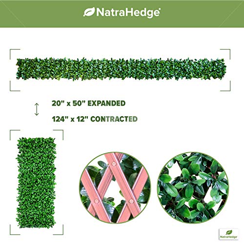 NatraHedge 20''X50'' Artificial Privacy Grass Wall Decor, Laurel Leaf - color: Laurel Leaf