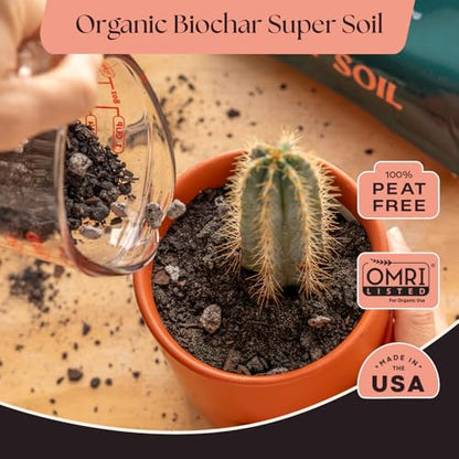 Rosy Soil Cactus & Succulent Potting Mix, 4 Quarts - color: Cactus & Succulent, size: 4 Quarts