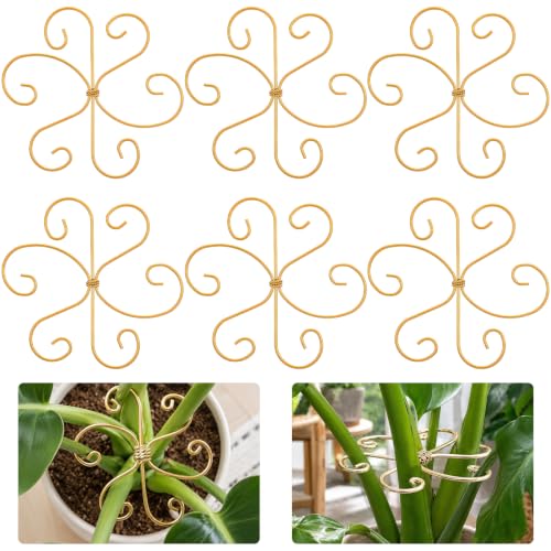 COMNICO Plant Stem Support 6 Pcs Monstera Durable Metal Plant Holder Stakes
