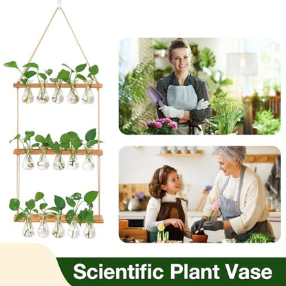 XXXFLOWER Wall Hanging Propagation Station 5 Bulb Vase 3 Tiers - size: Natural-15 Bulb Vase