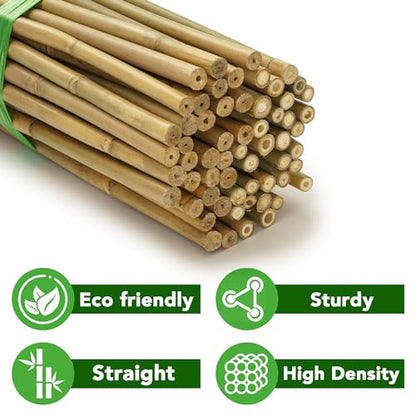 Bamboo Stakes, 4 Feet, 70 Pcs - size: 4ft-70 Pack
