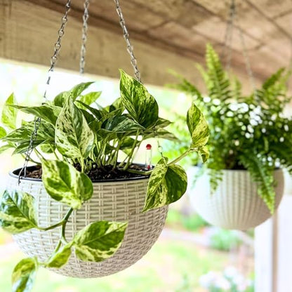 LaLaGreen Hanging Pots for Indoor (11in, 3 Pack) Self-Watering Plant Holder - color: White X 4 Pack