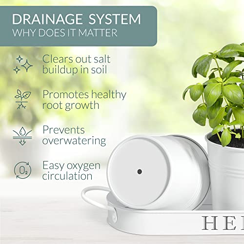 Barnyard Designs Indoor Herb Garden Planter Pots with Tray Set/3 (White) - color: White