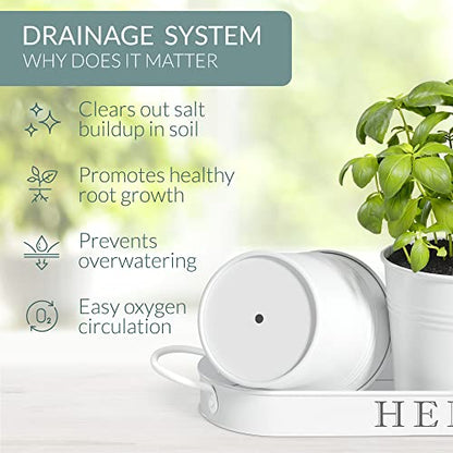 Barnyard Designs Indoor Herb Garden Planter Pots with Tray Set/3 (White) - color: White