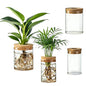 Glass Propagation Stations, 2 Large & 2 Small Desktop Flower Vases