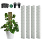 60"/40"/24" Metal Moss Pole, D Shape Sphagnum Moss Pole, Moss Poles for Climbing Plants, Monstera, Indoor Climbing Plants(4Pcs 40") - style: 4Pcs 40"
