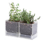 D'vine Dev 2-Pack Acrylic Herb Planter Pots, 4 in, Clear, 76-Y-D-1 - color: Clear, size: 8 Inch x 4.5 Inch