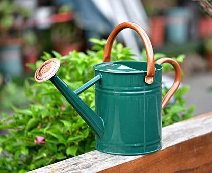 Metal Watering Can 1 Gallon for Outdoor Garden Plants, Green - color: Green With Copper Accents