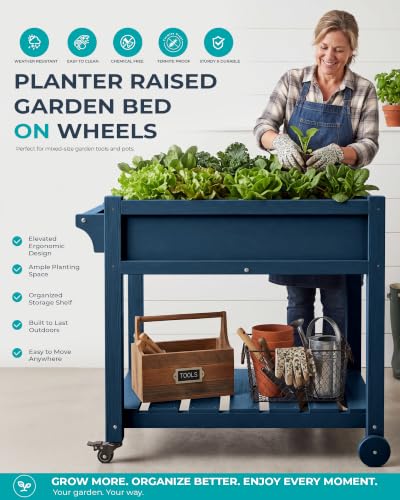 SERWALL Raised Garden Bed on Wheels with Storage Shelf Set of 2,Navy - color: Navy, size: 2 Pack