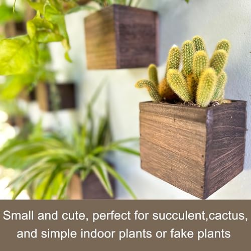 LaLaGreen Indoor Planter Box for Plants (4x4, 12 Pack) Wooden Wall Planters - size: 4x4" x 12 pack