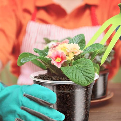 30Pack 3/4/5" Clear Nursery Pots with Drainage - size: 3/4/5Inch